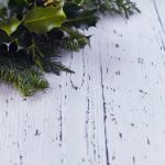 男女做爰视频免费播放 7djq8r