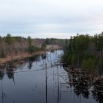 私人毛片免费高清影视院 aejyp