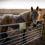 管家婆精选资料八码中特 axbfqh