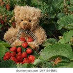 男生插曲女生为什么会叫 c58xi7p8v