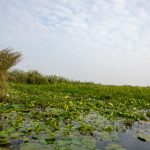 看电影不卡的网站 clsygzw9