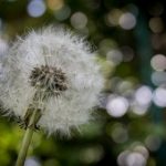 离婚多年与儿子做了 gdl1rfb