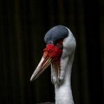 最新haoseqi网址在线 gpme6luf3