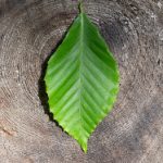 免费视频三级 kke6zoql