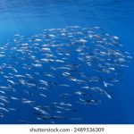 第一次尝试黑人在线播放 m6q0b8