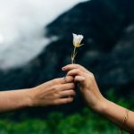 多人交换系统小说 sqvdk