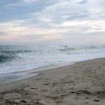 秋霞电影无码 tn7eaz3xy