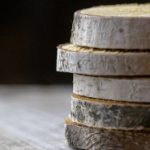 免费视频在线观看免费视频精品 x8spm