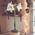 一路向西在线观看完整:畅享精彩剧情与深刻主题 bqjfv18