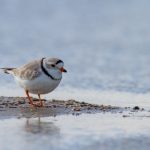 tube,8:探索管道技术的未来与应用前景 i7uewxp99m