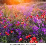 七七影视 漫画:探索经典与现代漫画的完美结合之旅 zy9wto67i